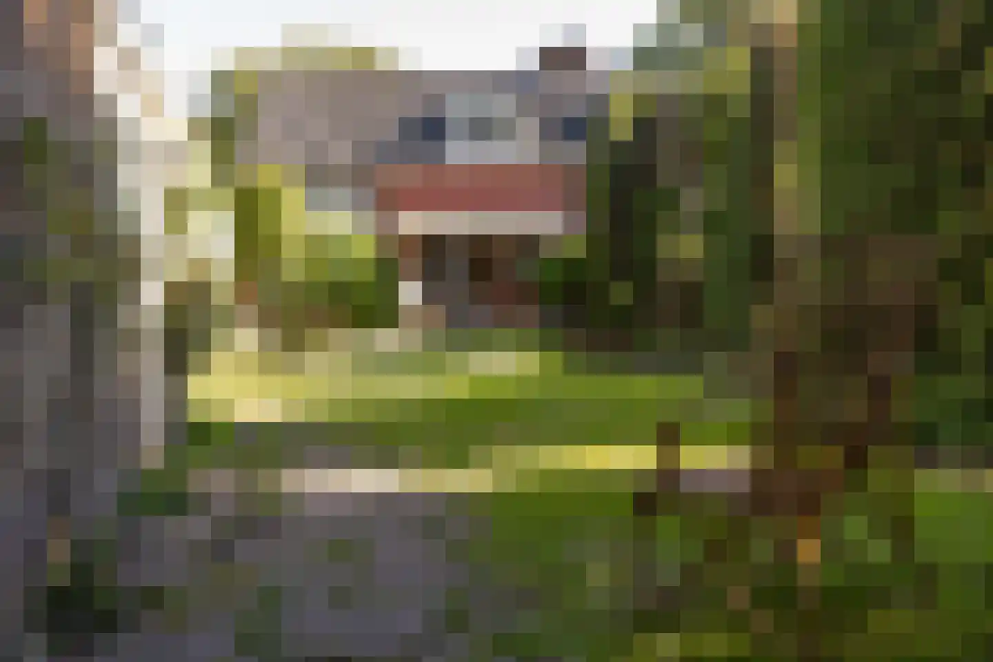 Drossaardlaan 11 Huizen foto 3