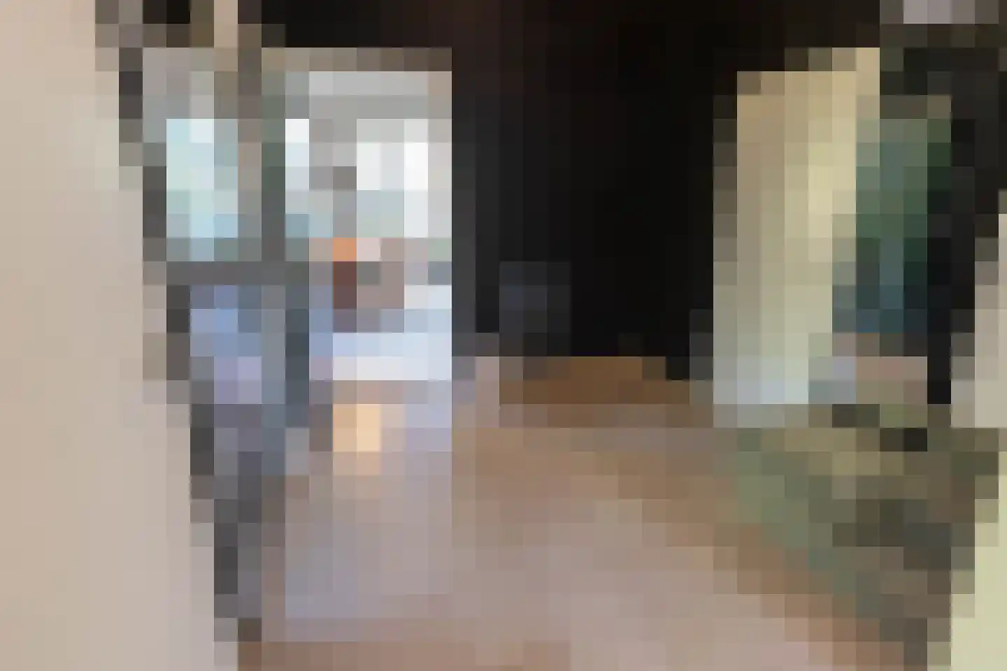 Drossaardlaan 11 Huizen thumbnail 9
