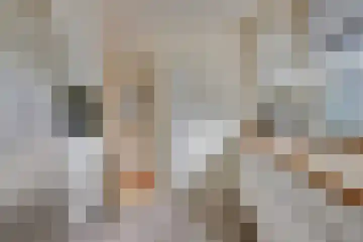 Drossaardslag 104 Gouda thumbnail 12