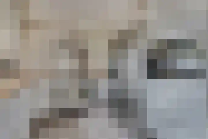Drossaardslag 104 Gouda thumbnail 13