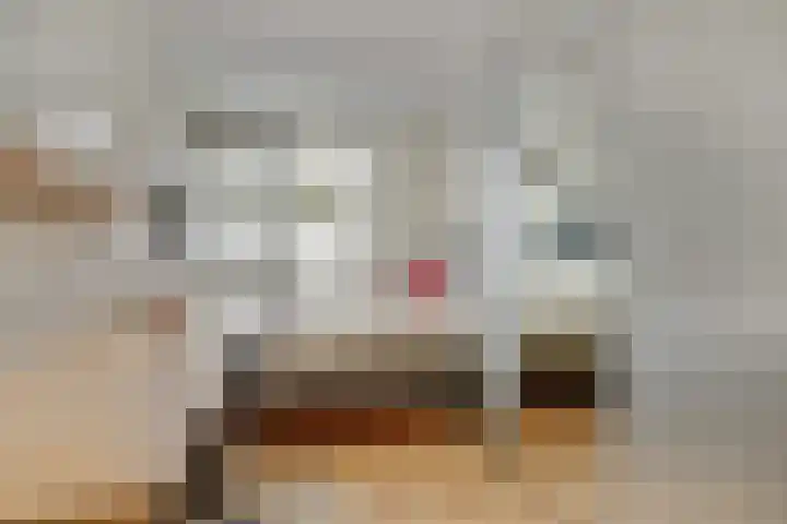 Drossaardslag 104 Gouda thumbnail 16