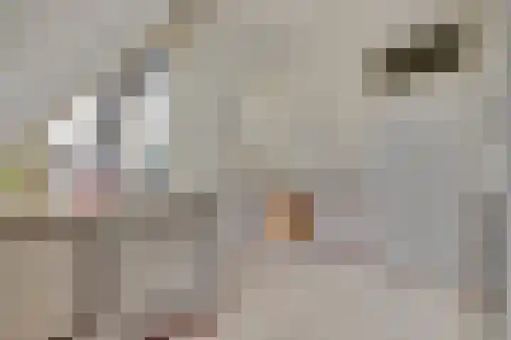 Drossaardslag 104 Gouda thumbnail 17
