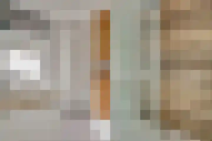 Drossaardslag 104 Gouda thumbnail 19