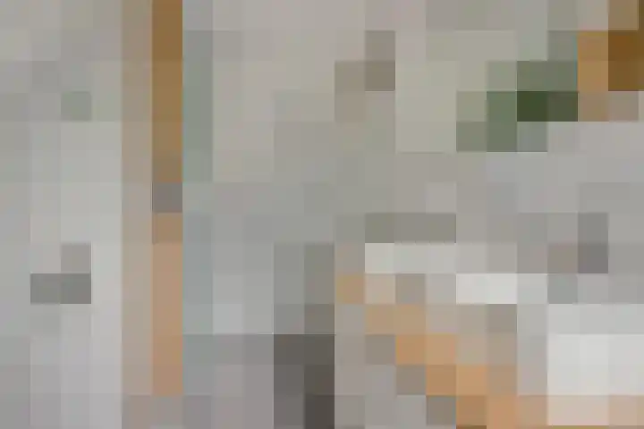Drossaardslag 104 Gouda thumbnail 20
