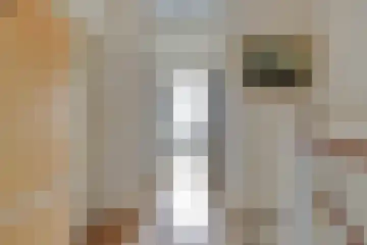 Drossaardslag 104 Gouda thumbnail 22