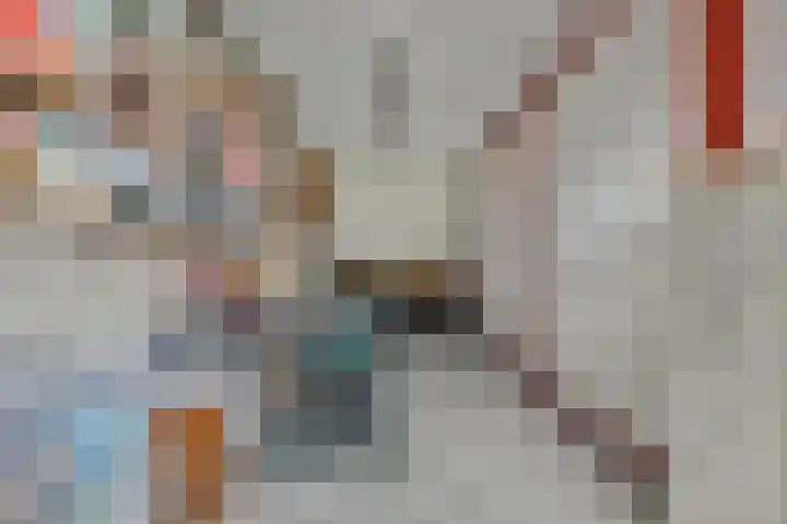 Drossaardslag 104 Gouda thumbnail 25
