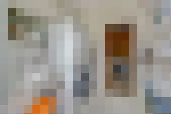 Drossaardslag 104 Gouda thumbnail 26
