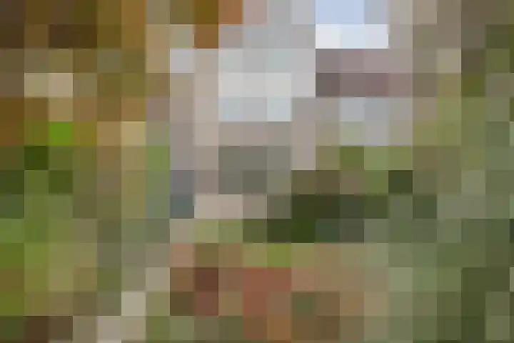 Drossaardslag 104 Gouda thumbnail 28