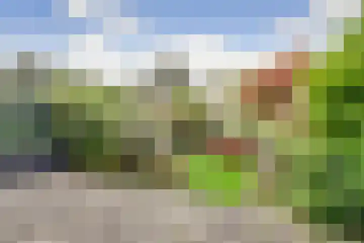 Drossaardslag 104 Gouda thumbnail 29