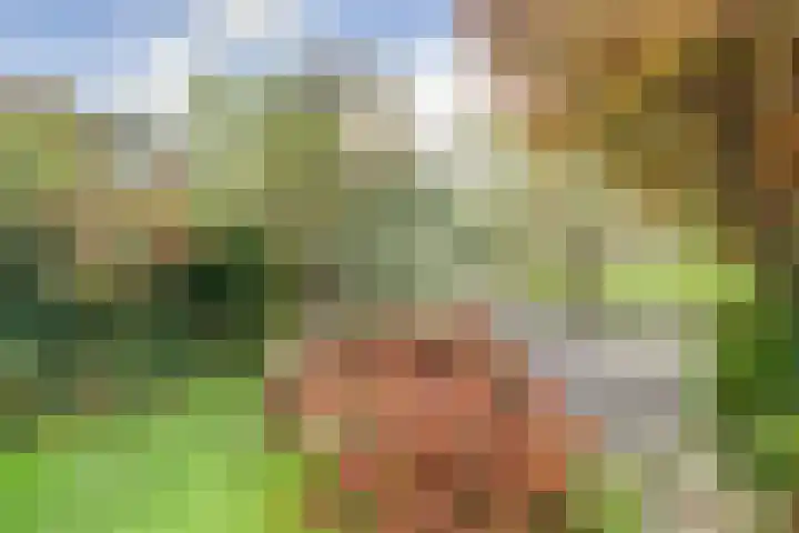 Drossaardslag 104 Gouda thumbnail 30