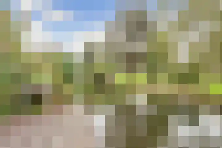 Drossaardslag 104 Gouda thumbnail 31