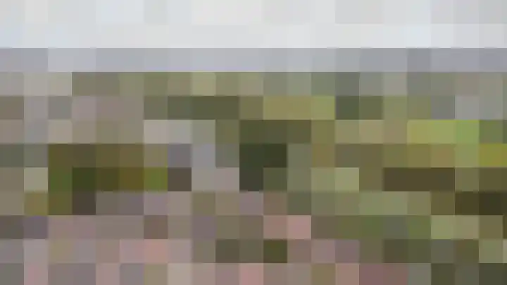 Drossaardslag 104 Gouda thumbnail 36