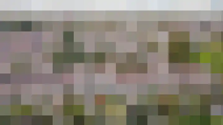 Drossaardslag 104 Gouda thumbnail 37