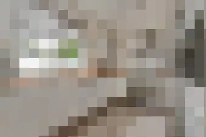 Drossaardslag 104 Gouda thumbnail 5
