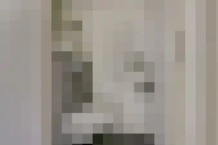 Drossaardslag 104 Gouda thumbnail 8