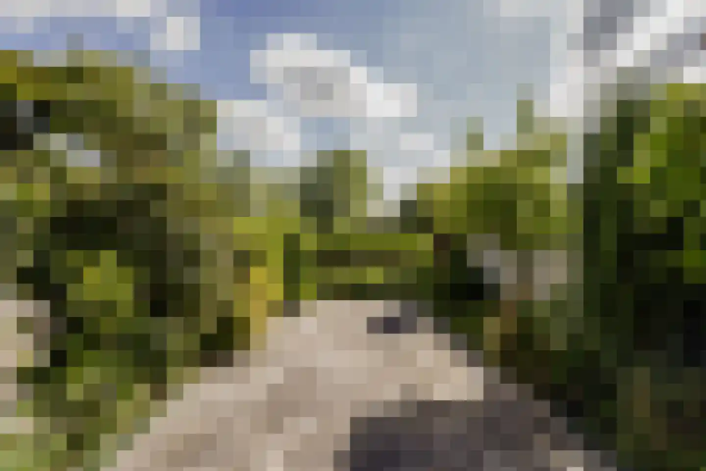 Drossaardslag 32 Gouda thumbnail 15