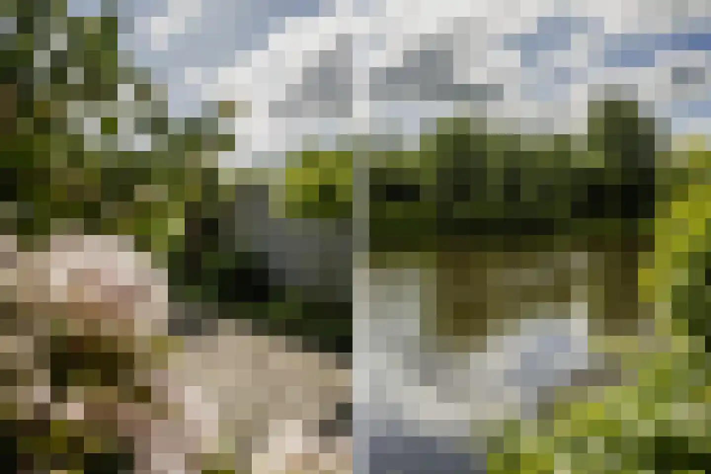 Drossaardslag 32 Gouda thumbnail 17