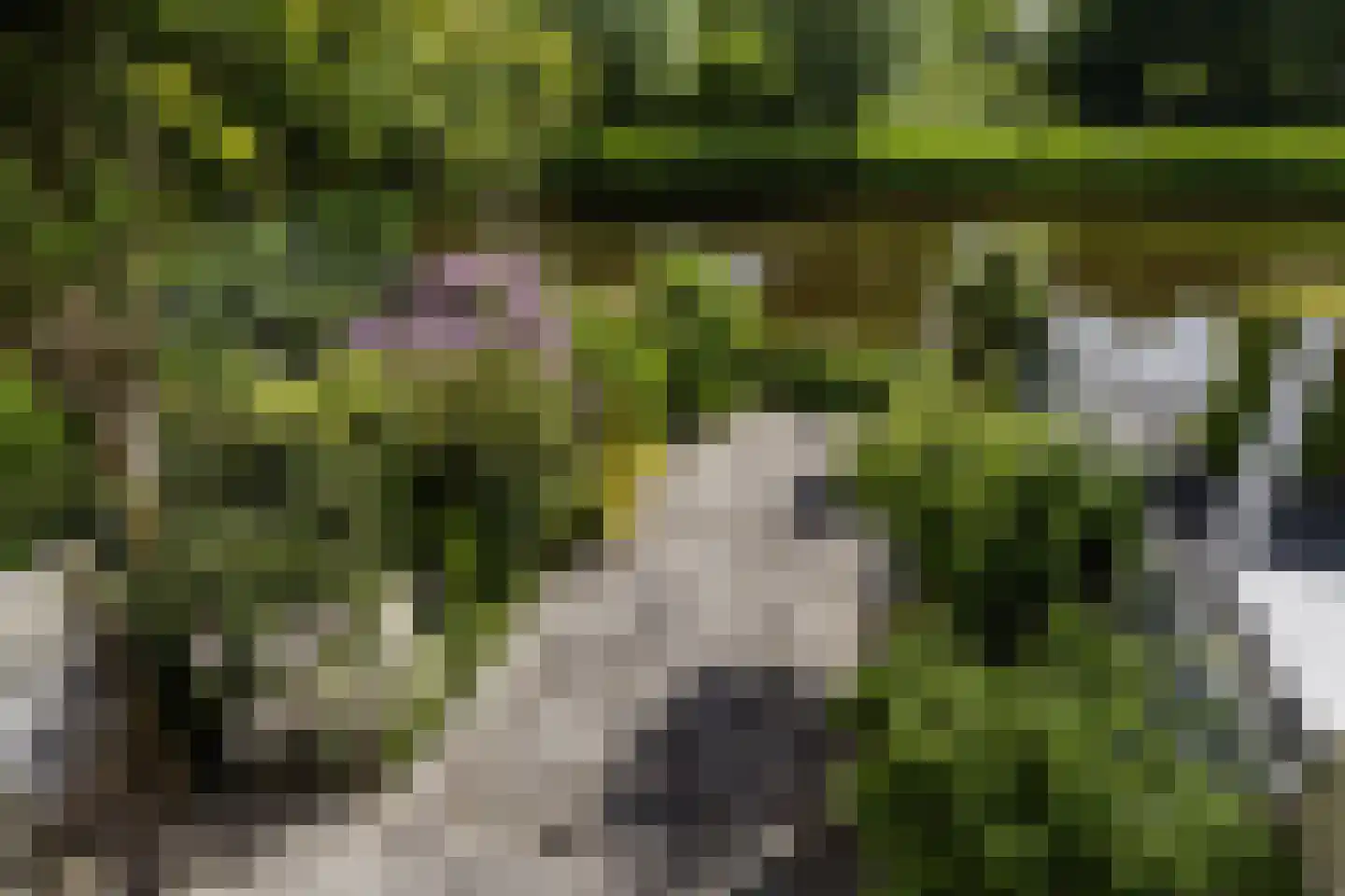 Drossaardslag 32 Gouda thumbnail 4