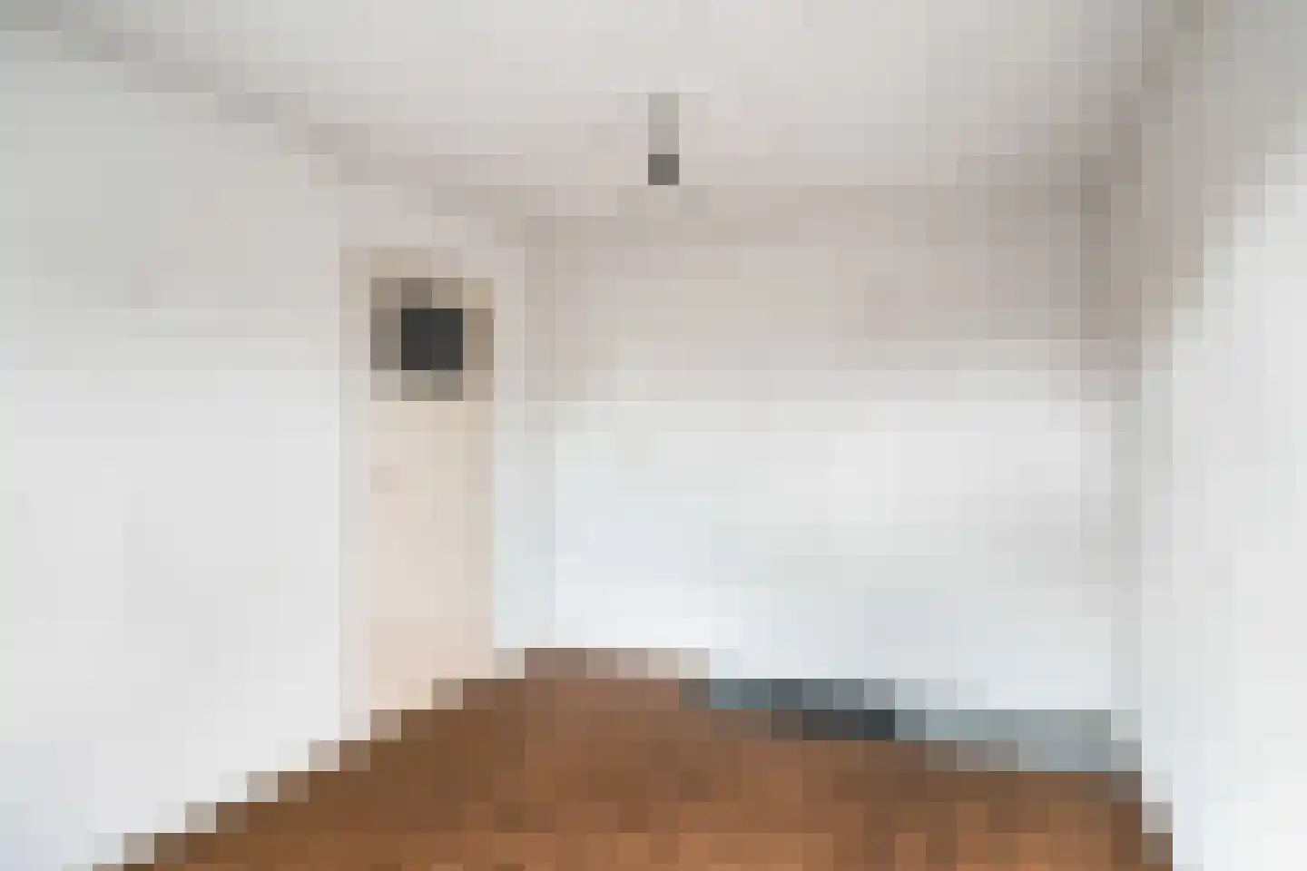 Drossaardslag 32 Gouda thumbnail 43