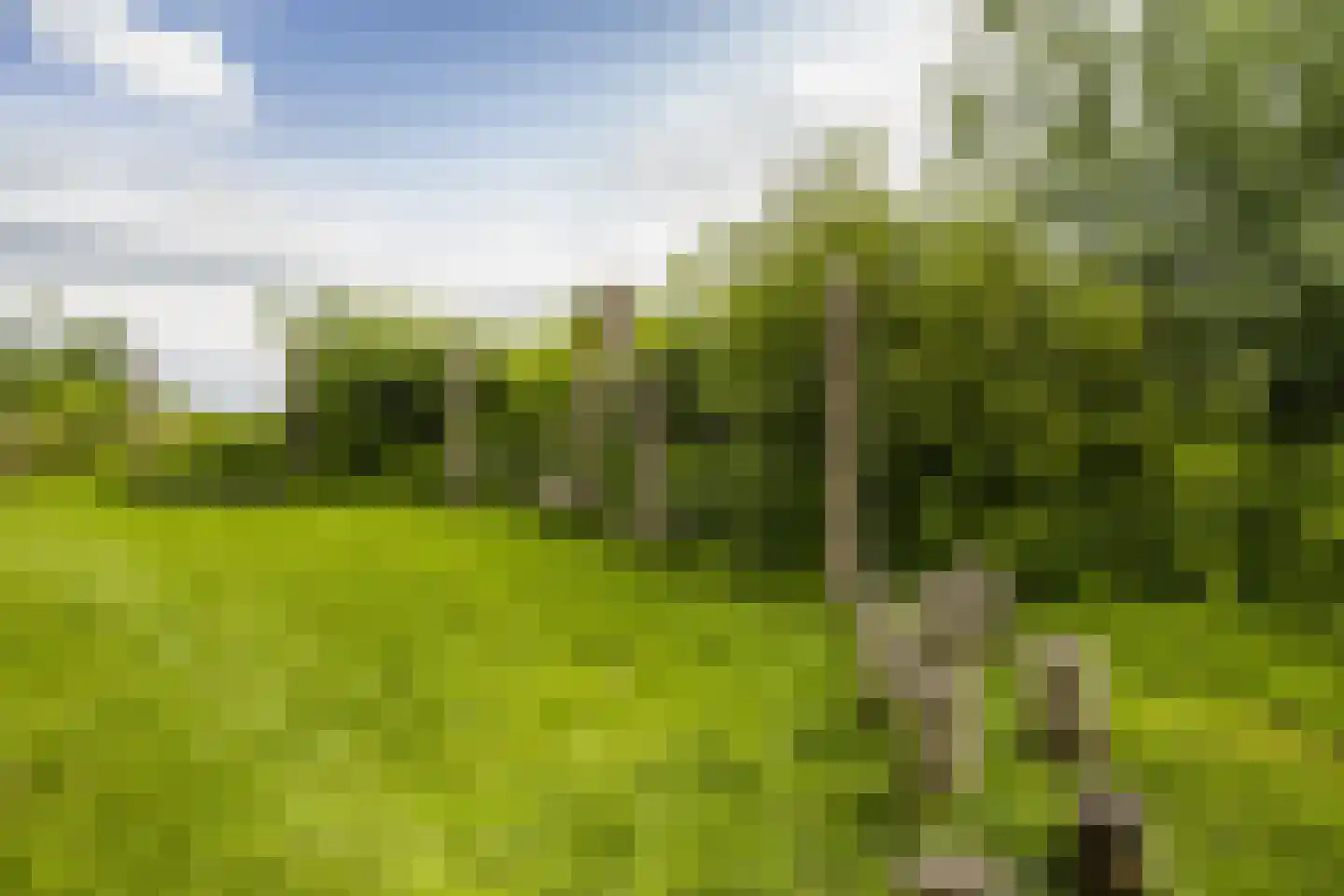 Drossaardslag 32 Gouda thumbnail 48