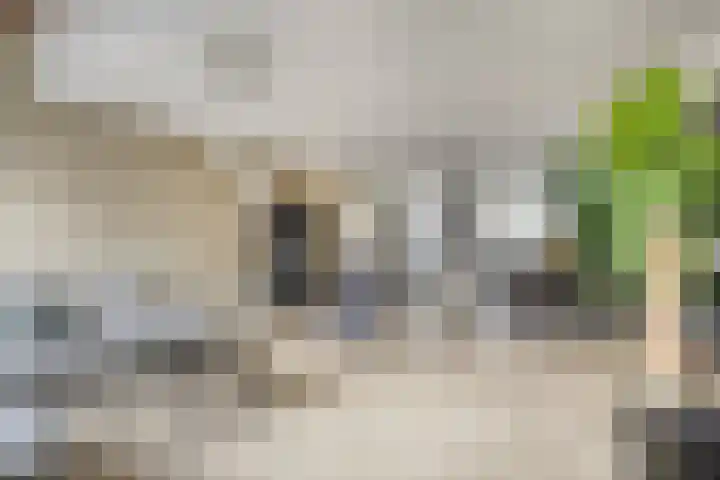 Drossaardslag 37 Gouda thumbnail 10