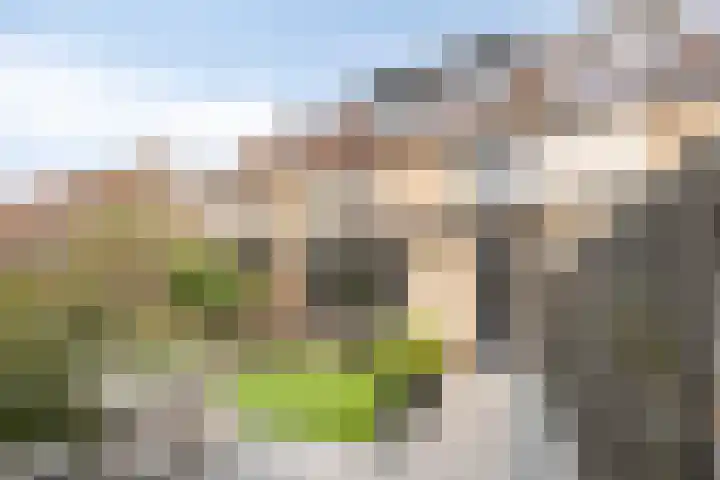 Drossaardslag 37 Gouda thumbnail 31