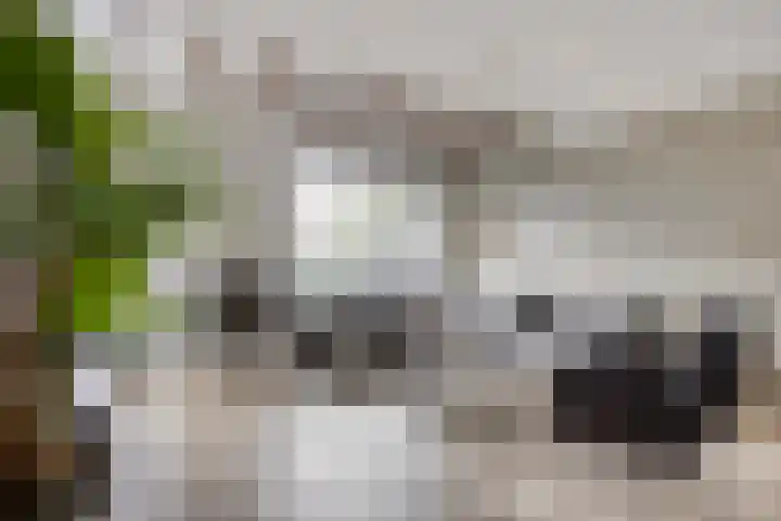 Drossaardslag 37 Gouda thumbnail 8