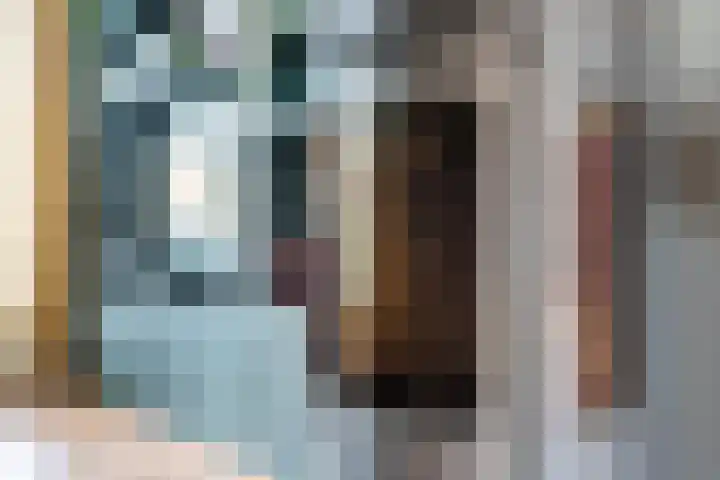 Drossaardstraat 14 Geldrop thumbnail 11