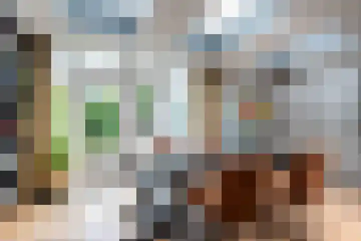Drossaardstraat 14 Geldrop thumbnail 13