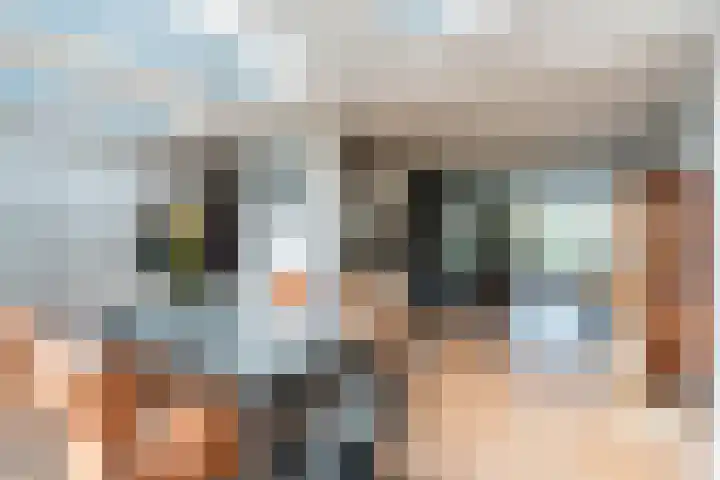 Drossaardstraat 14 Geldrop thumbnail 14