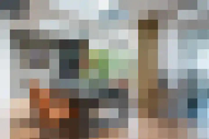 Drossaardstraat 14 Geldrop thumbnail 16