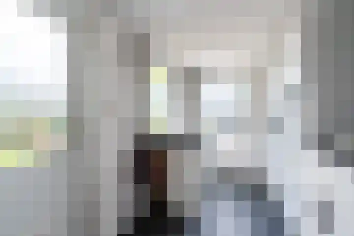 Drossaardstraat 14 Geldrop thumbnail 23