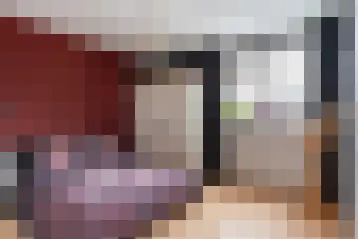 Drossaardstraat 14 Geldrop thumbnail 29