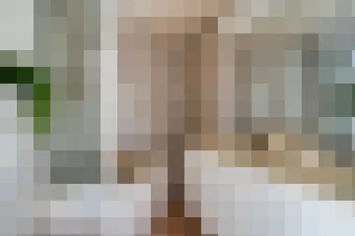 Drossaardstraat 14 Geldrop thumbnail 32