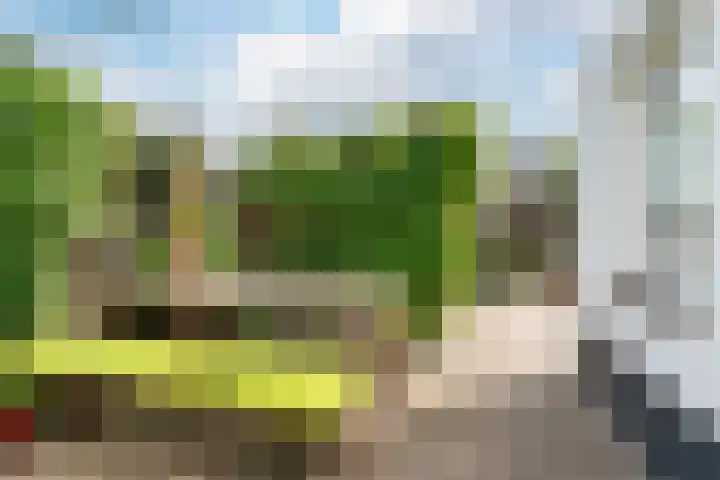 Drossaardstraat 14 Geldrop thumbnail 37