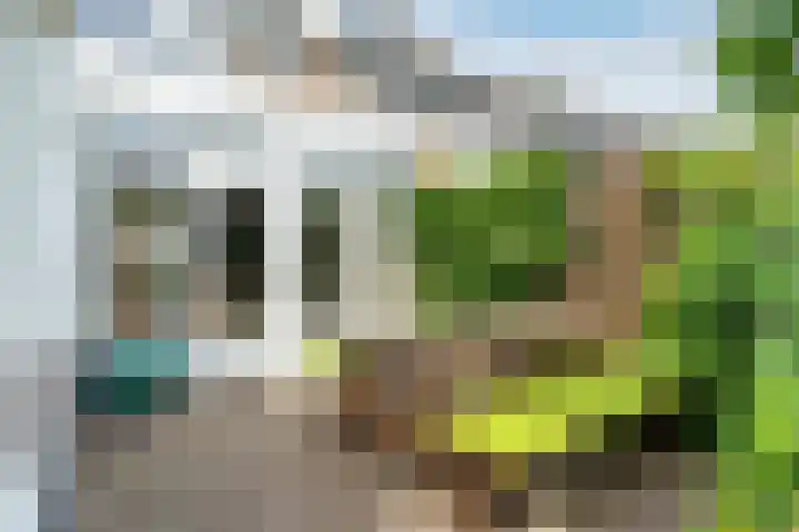Drossaardstraat 14 Geldrop thumbnail 38