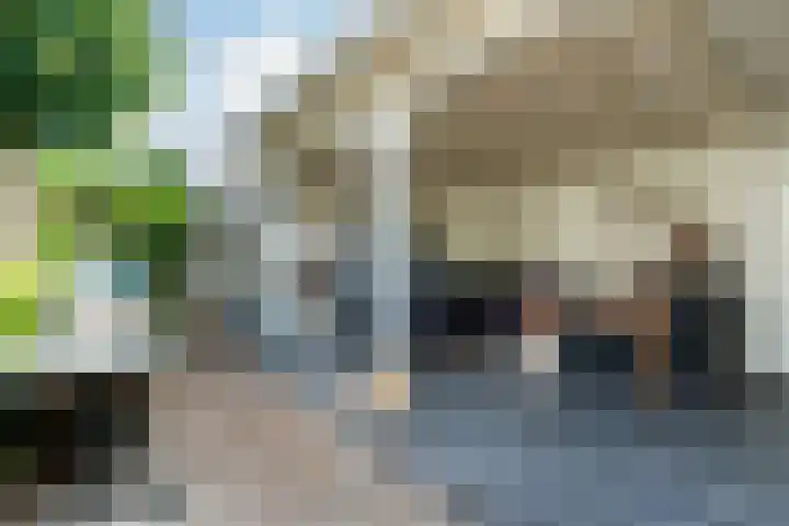 Drossaardstraat 14 Geldrop thumbnail 39