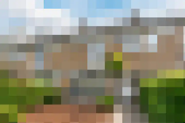 Drossaardstraat 14 Geldrop thumbnail 6