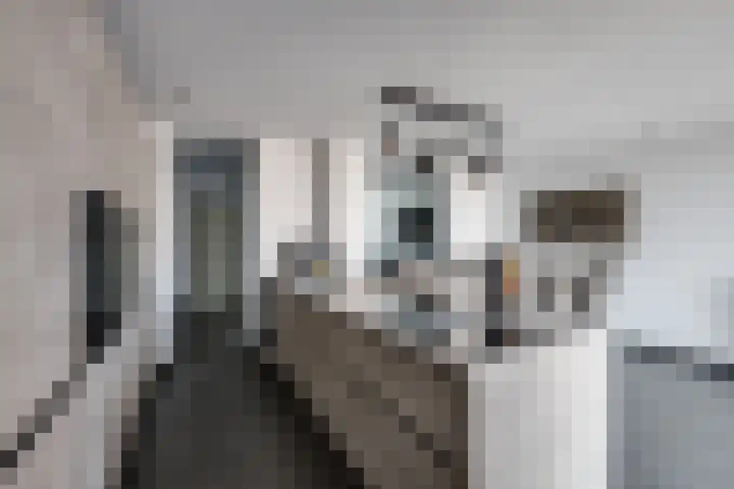 Drossaardstraat 14 Rijen thumbnail 17