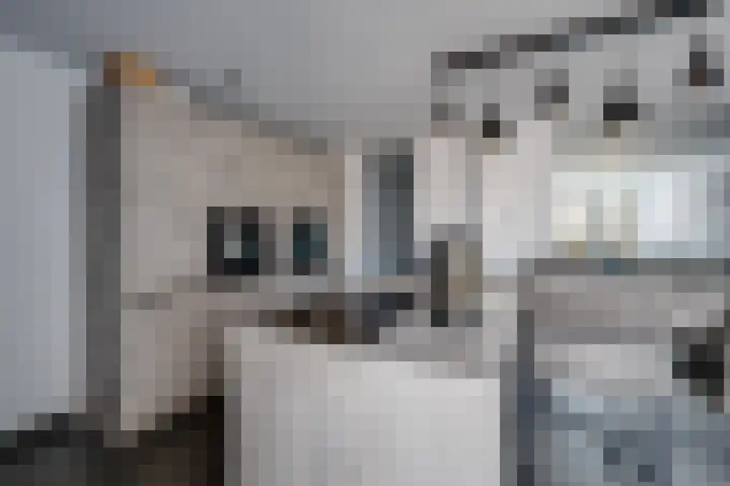 Drossaardstraat 14 Rijen thumbnail 18