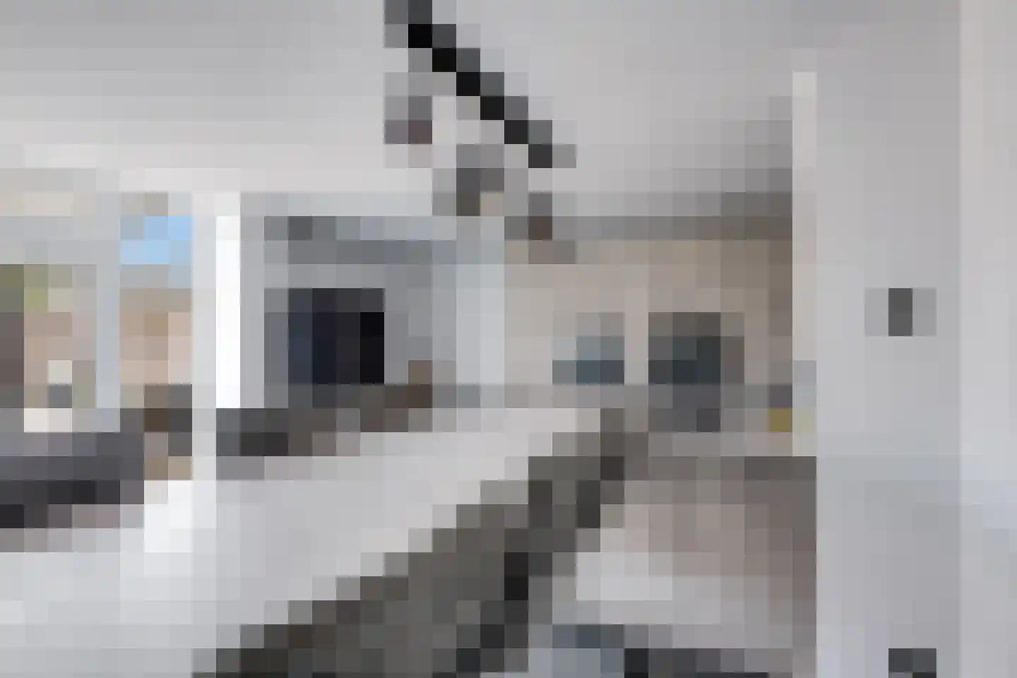 Drossaardstraat 14 Rijen thumbnail 19