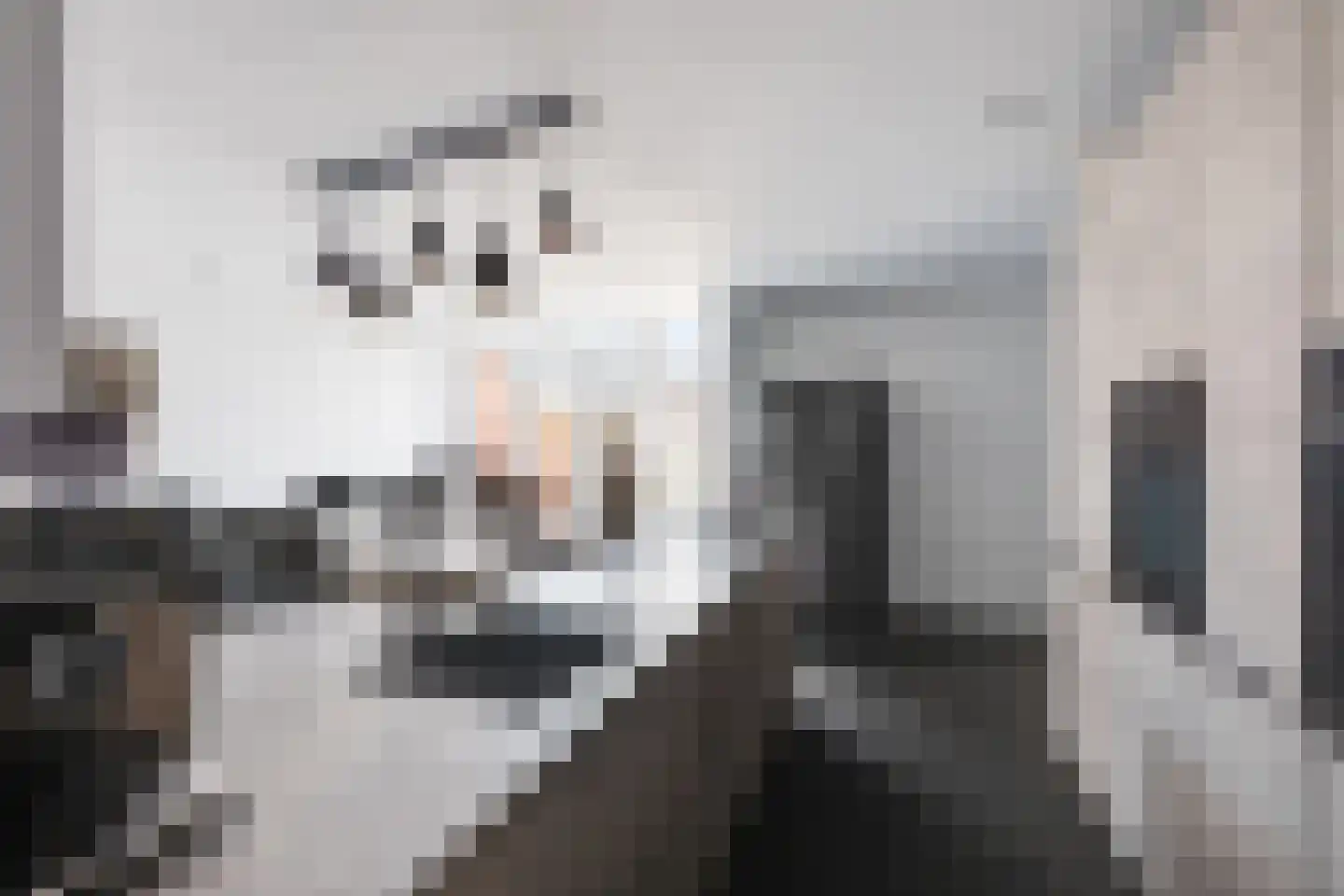Drossaardstraat 14 Rijen thumbnail 22