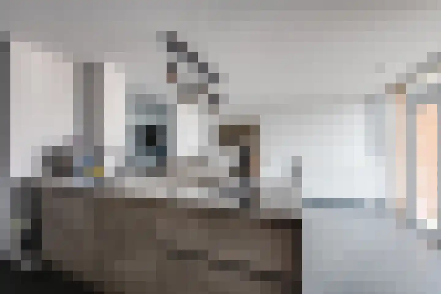 Drossaardstraat 14 Rijen thumbnail 23