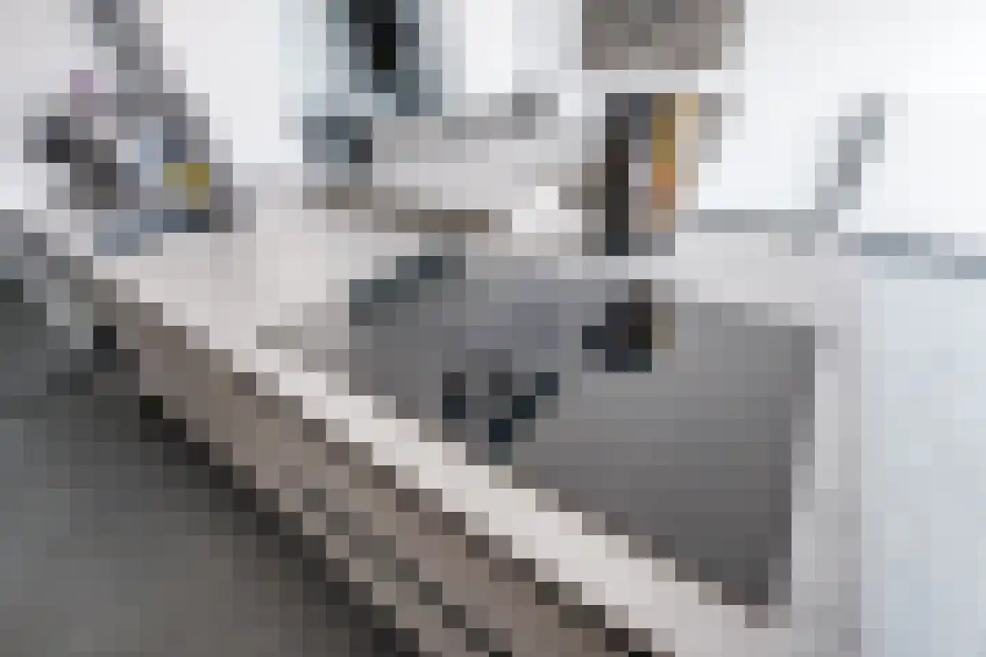 Drossaardstraat 14 Rijen thumbnail 24