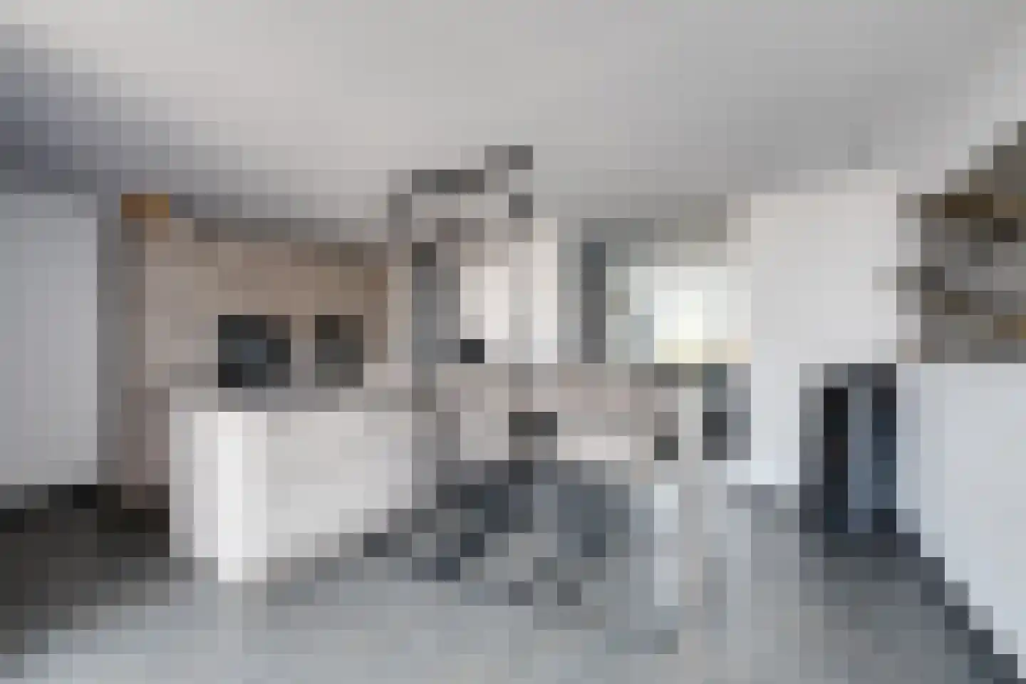 Drossaardstraat 14 Rijen thumbnail 4