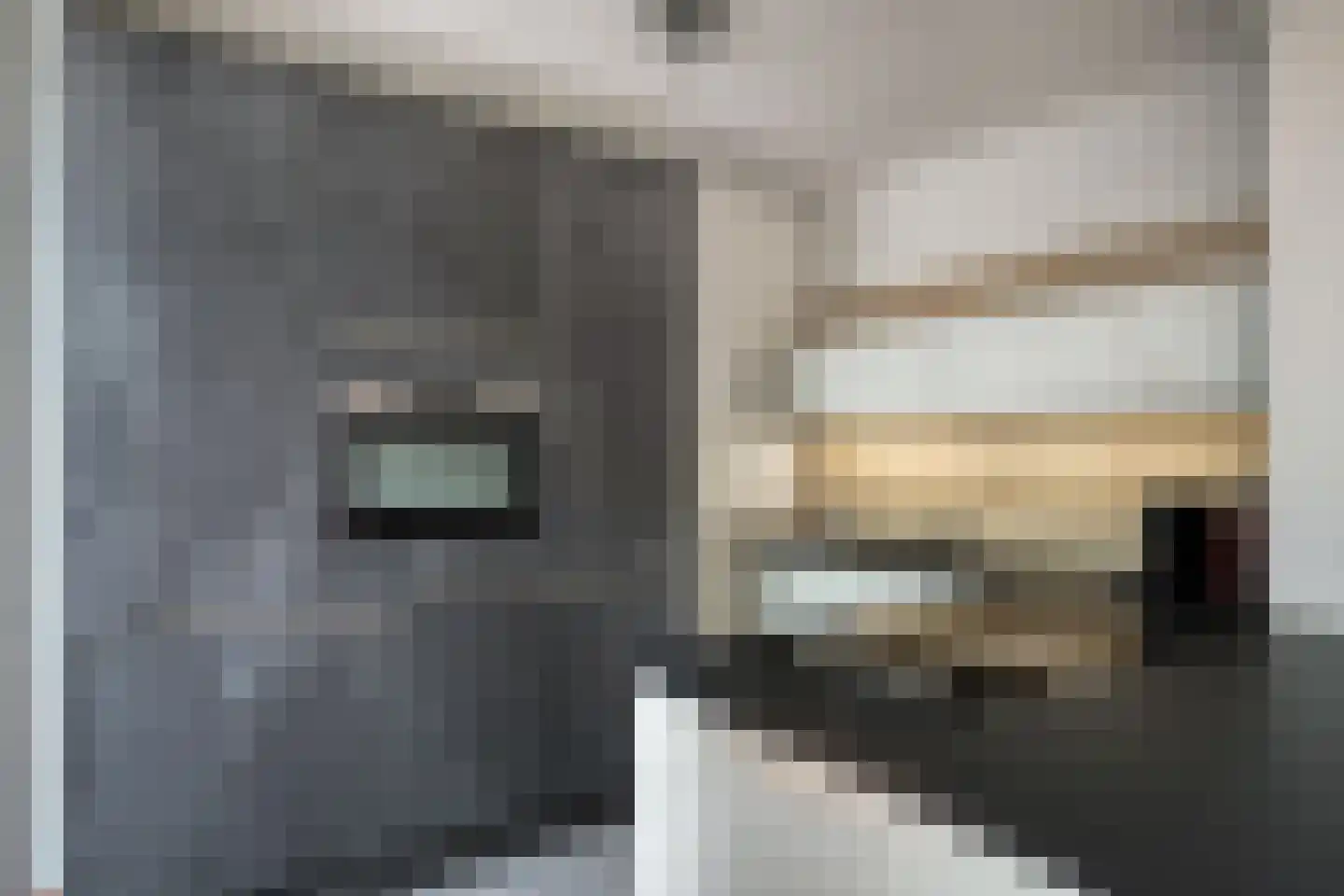 Drossaardstraat 18 Geldrop thumbnail 12