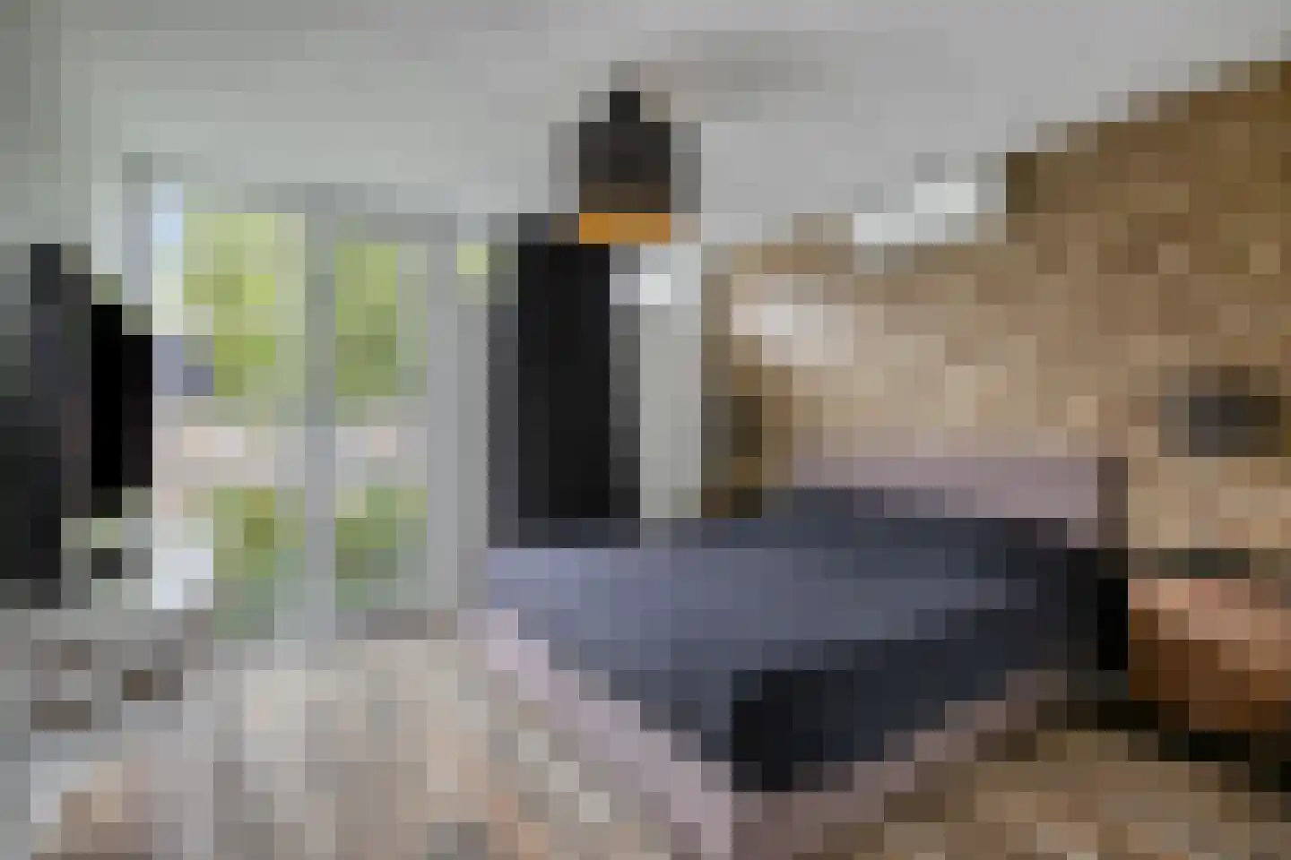 Drossaardstraat 18 Geldrop thumbnail 20