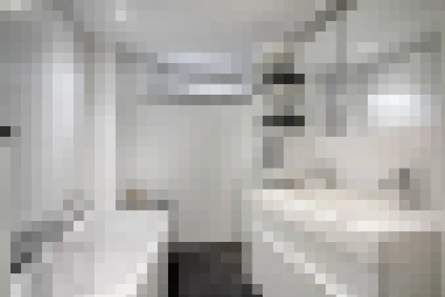 Drossaardstraat 18 Geldrop thumbnail 26
