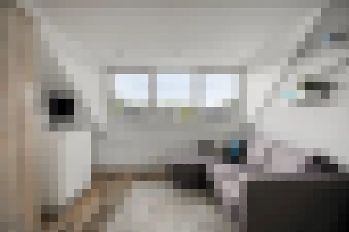 Drossaardstraat 18 Geldrop thumbnail 31