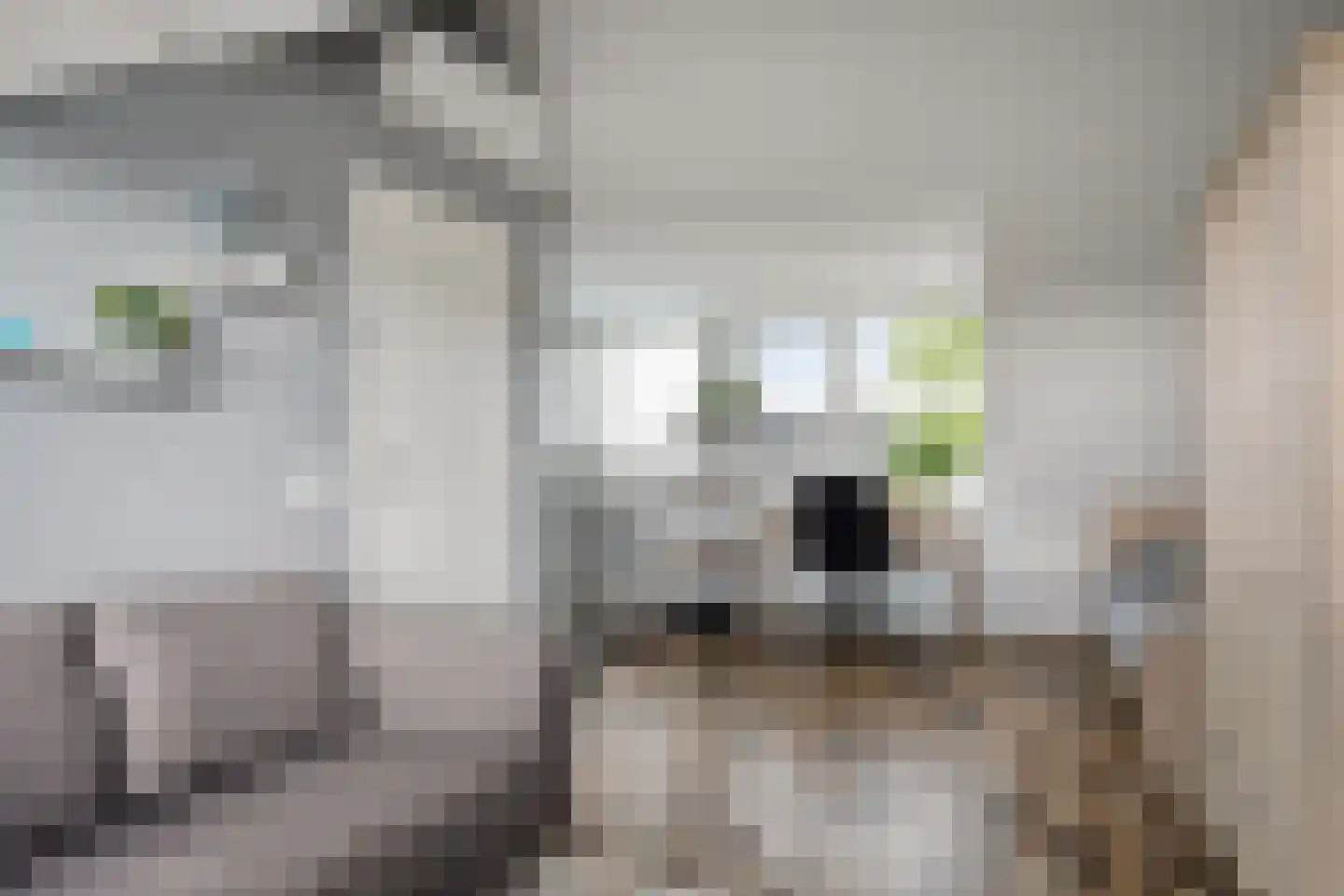 Drossaardstraat 18 Geldrop thumbnail 32